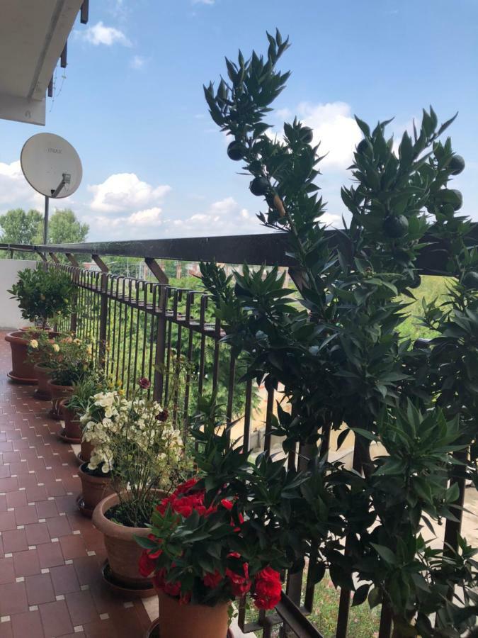 Venice H.S.Garden Marghera Exterior foto